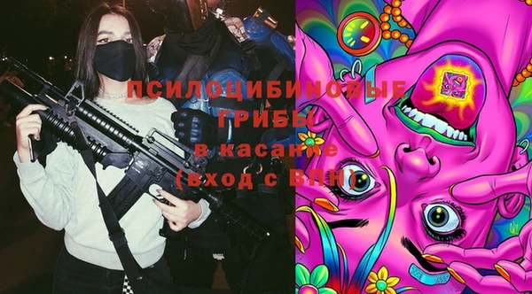 твердый Сафоново