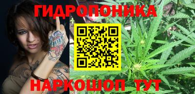 гидра Каменск-Шахтинский