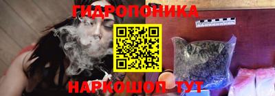 гидра Каменск-Шахтинский