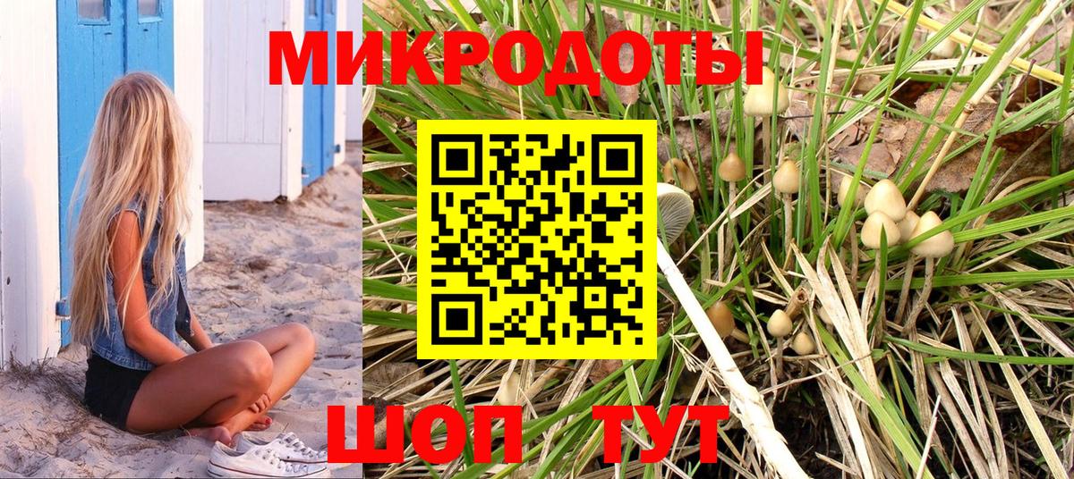 Псилоцибиновые грибы мухоморы Дятьково