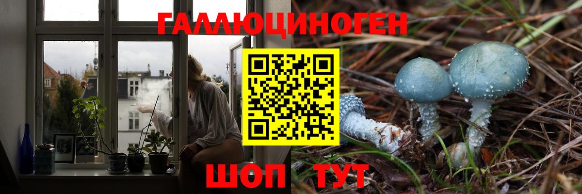 Псилоцибиновые грибы прущие грибы  где продают   Вход с VPN  Дятьково  Галлюциногенные грибы Cubensis 